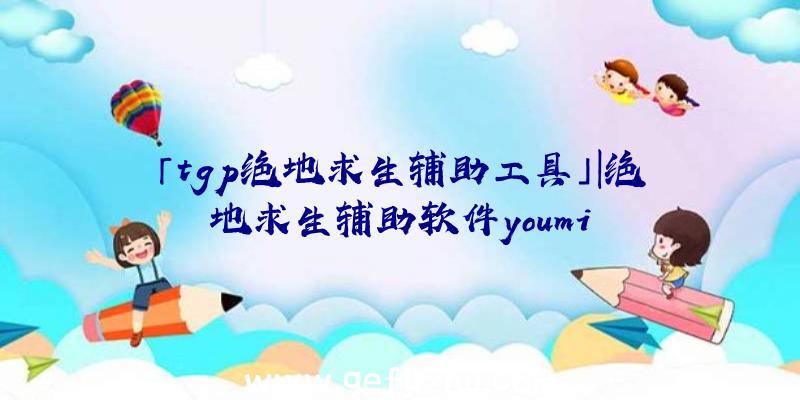 「tgp绝地求生辅助工具」|绝地求生辅助软件youmi